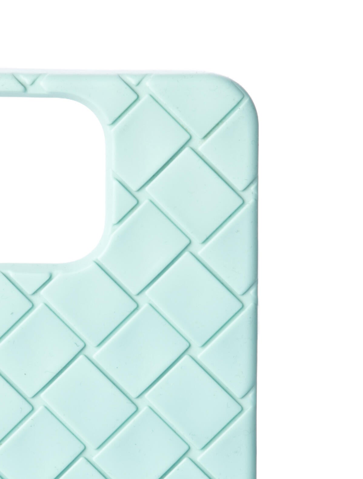 Bottega Veneta IPhone Case