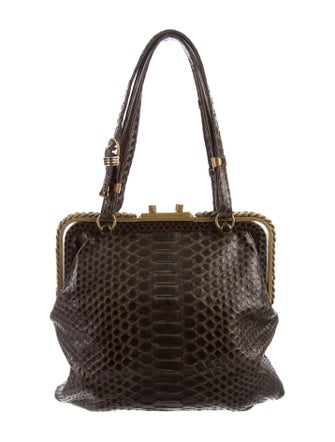 Bottega Veneta Python Frame Bag