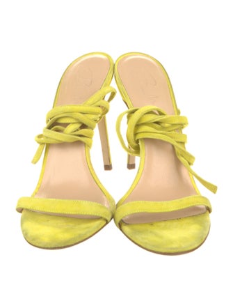 Brandon Maxwell Suede Sandals