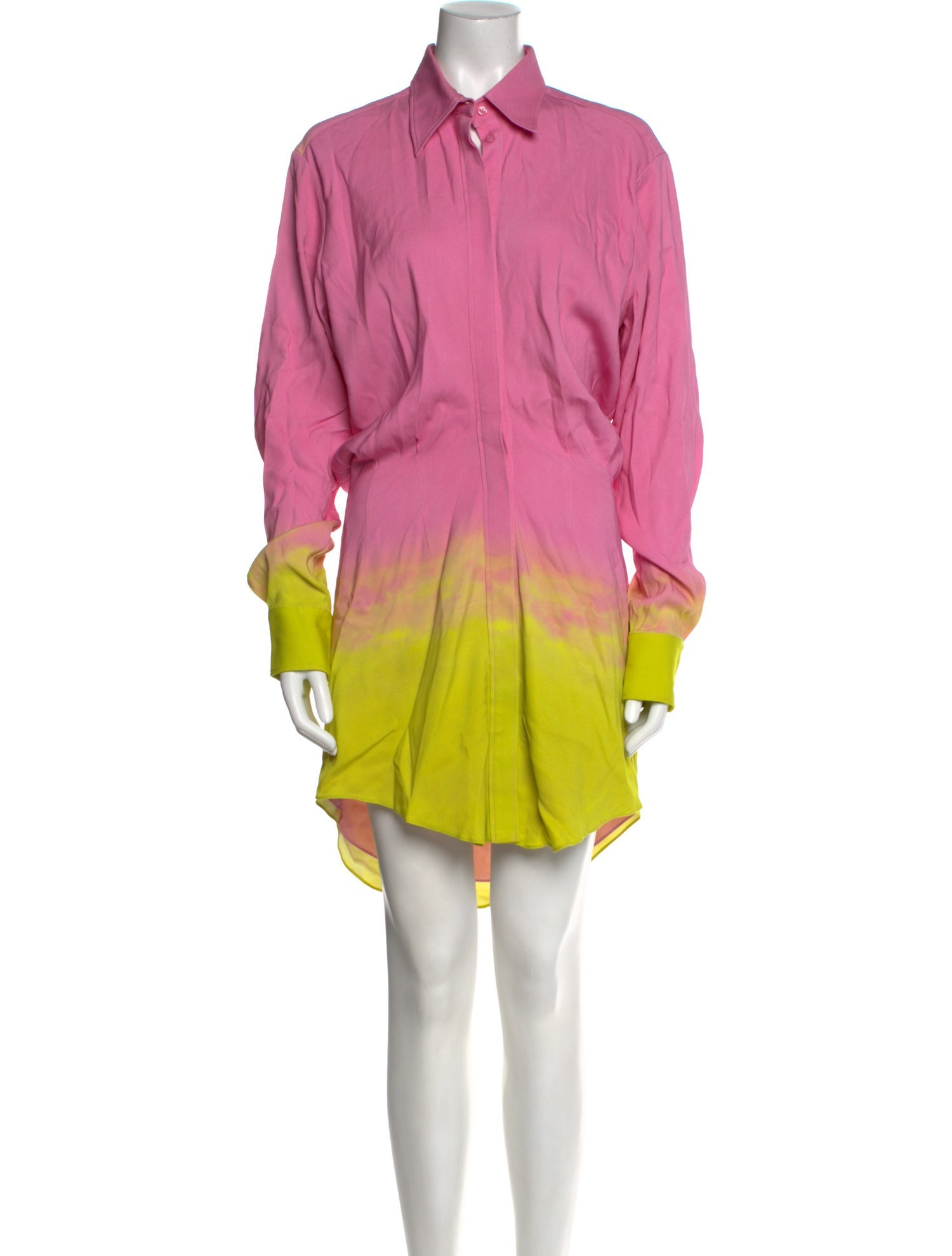 Brandon Maxwell Printed Knee-Length Dress