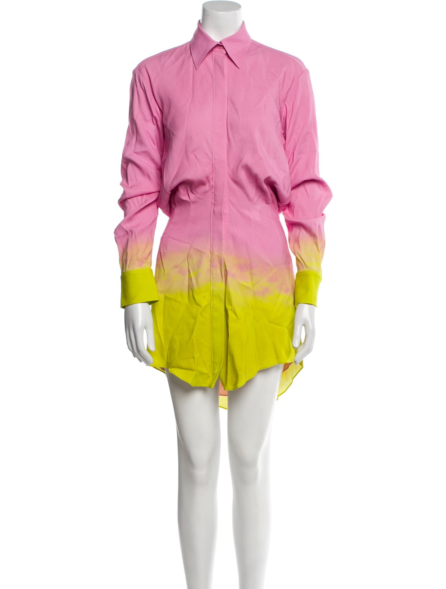 Brandon Maxwell Printed Mini Dress