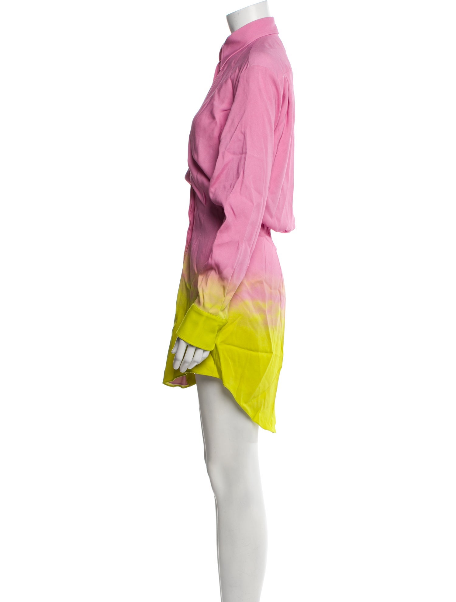 Brandon Maxwell Printed Mini Dress