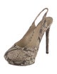 Brian Atwood Snakeskin Animal Print Slingback Pumps