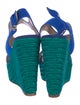 Brian Atwood Suede Espadrilles