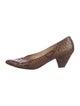 Bruno Magli Suede Animal Print Pumps