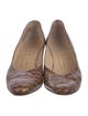 Bruno Magli Suede Animal Print Pumps