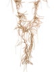 Brunello Cucinelli Monili Beaded Fringe Lariat