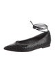 Brunello Cucinelli Snakeskin Ballet Flats