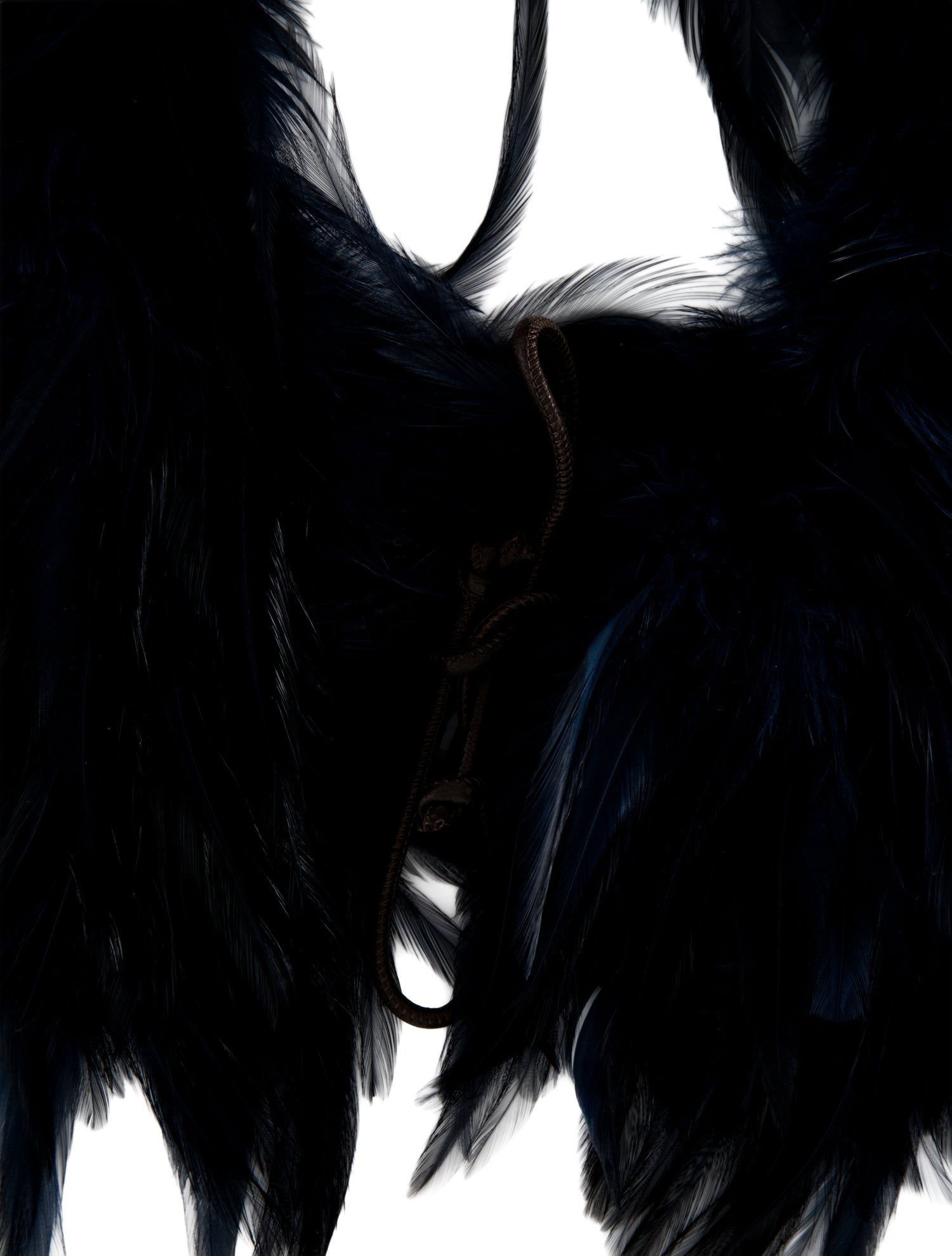 Brunello Cucinelli Rooster Feather Collar