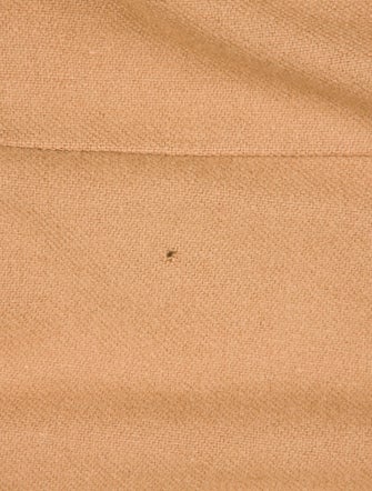 Burberry's Wool Trench Coat