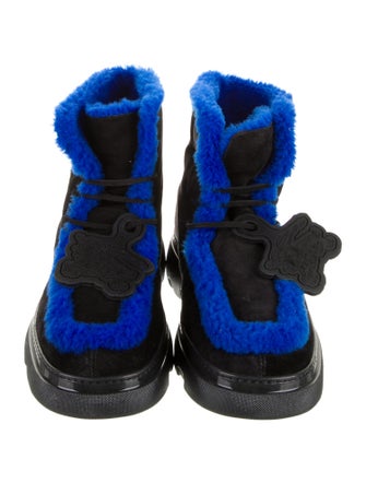 Burberry Suede Boots
