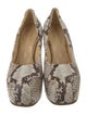 Burberry Snakeskin Printed Pumps