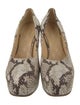 Burberry Snakeskin Printed Pumps