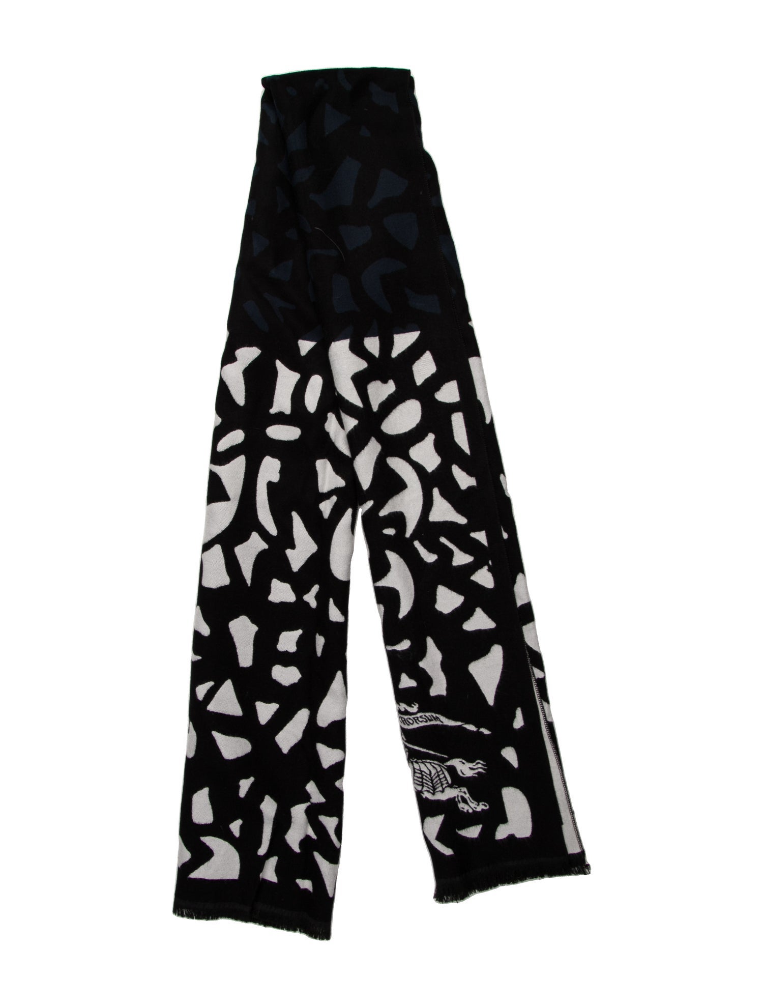 Burberry Prorsum Cashmere Printed Scarf