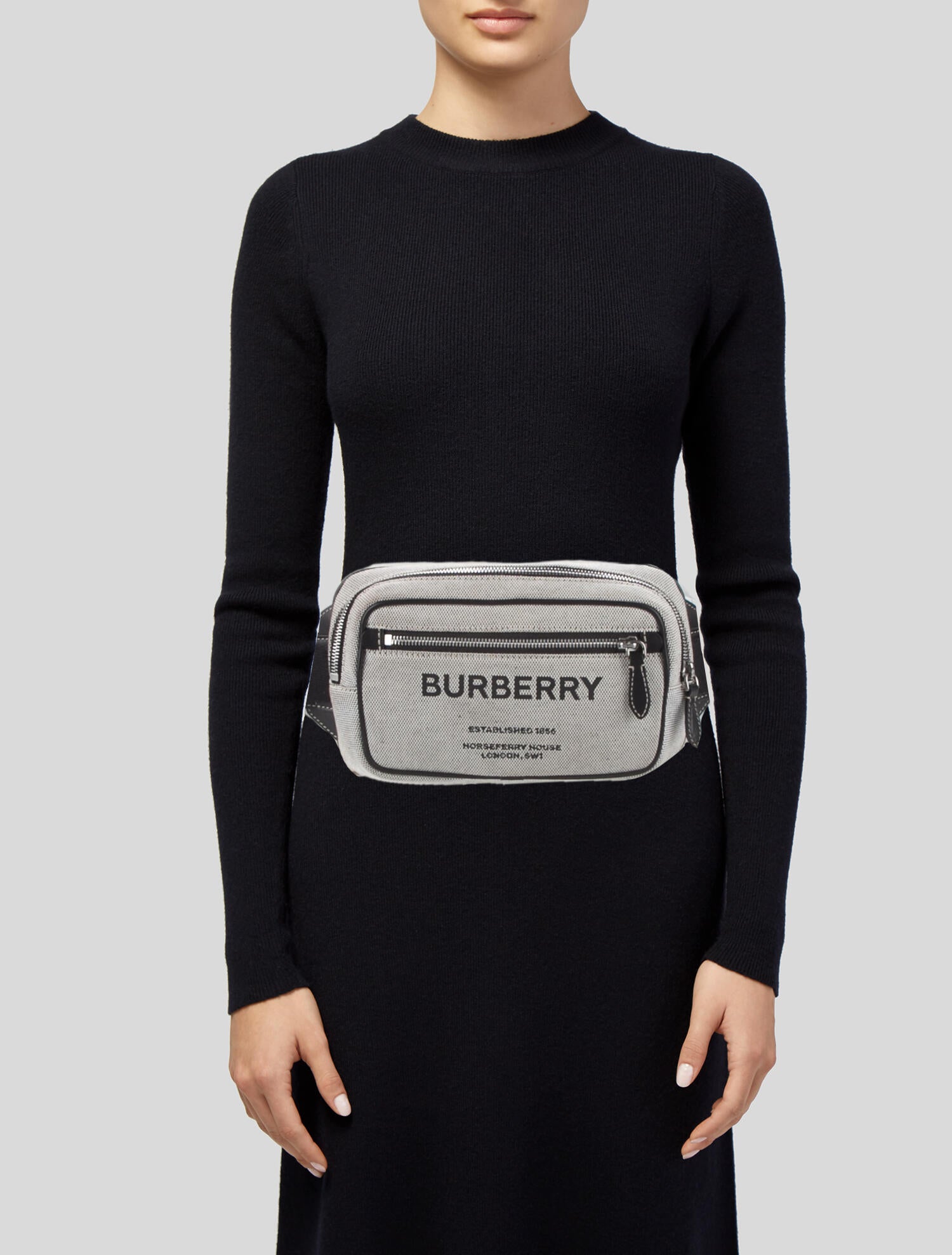 Burberry Canvas Horseferry House Waist Bag Neutrals Waist Bags
