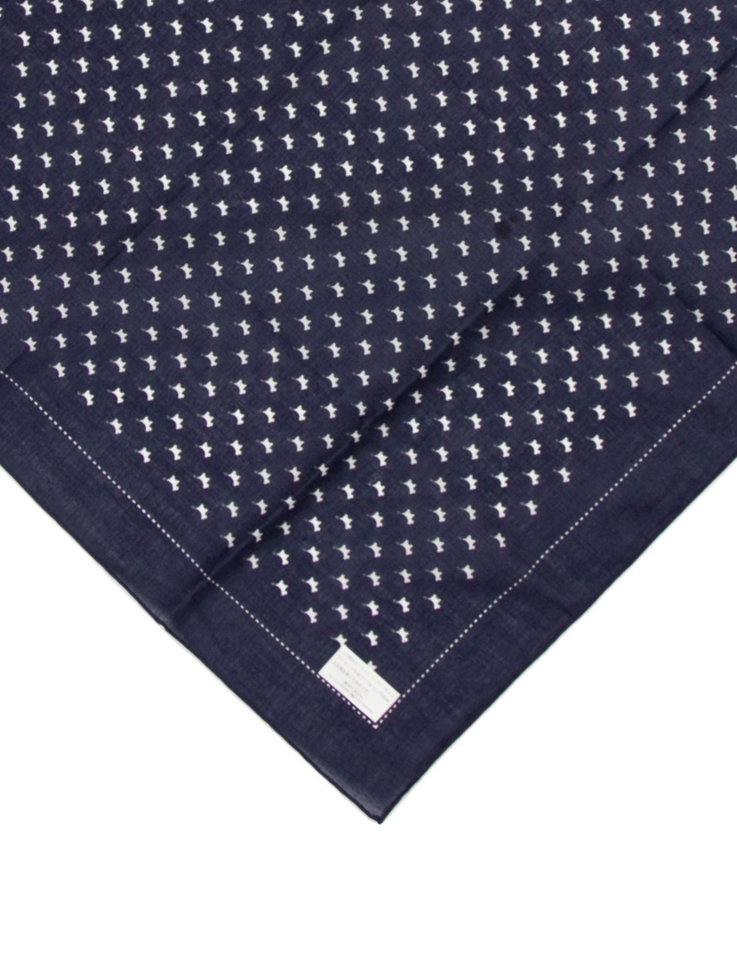 Burberry Printed Scarf