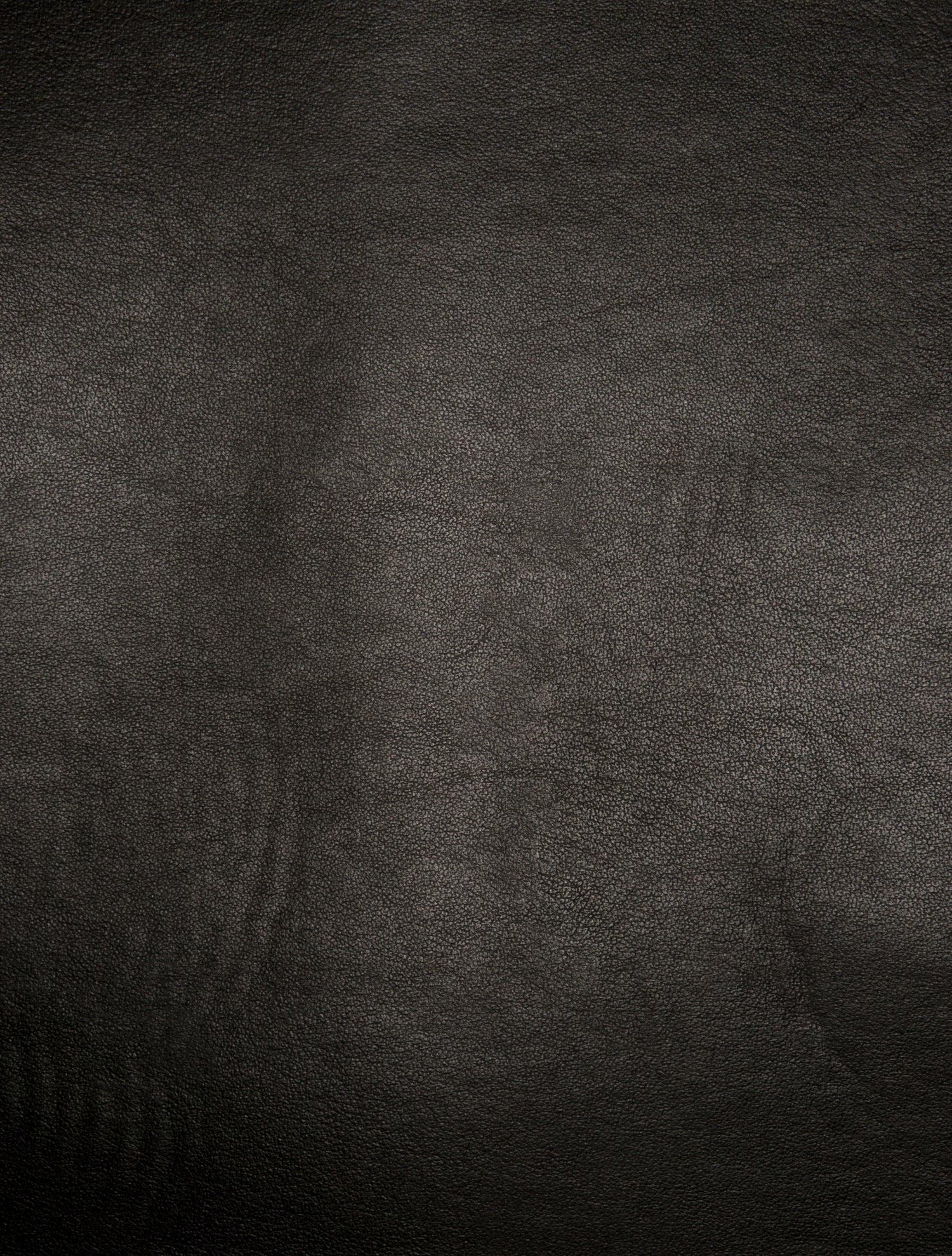 Burberry Canvas Society