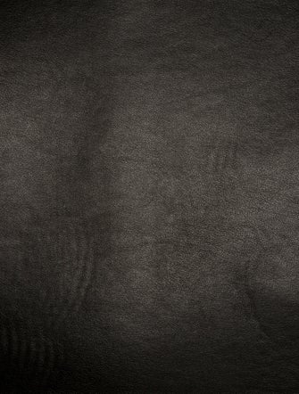 Burberry Canvas Society