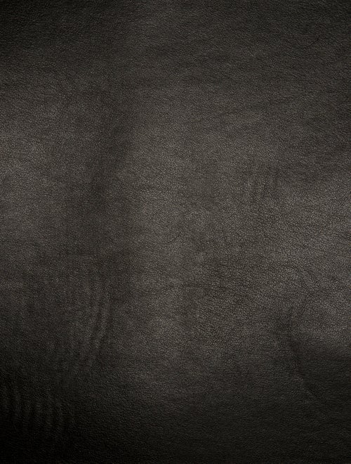 Burberry Canvas Society