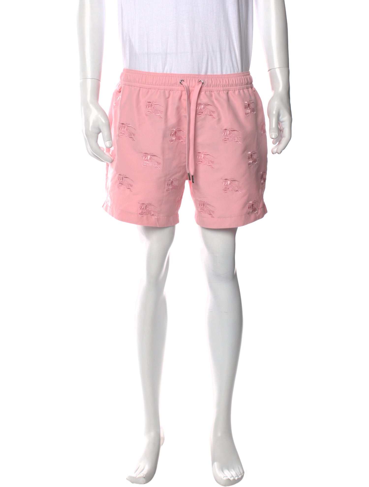 Burberry Patterned Embroidered Accent Swim Trunks
