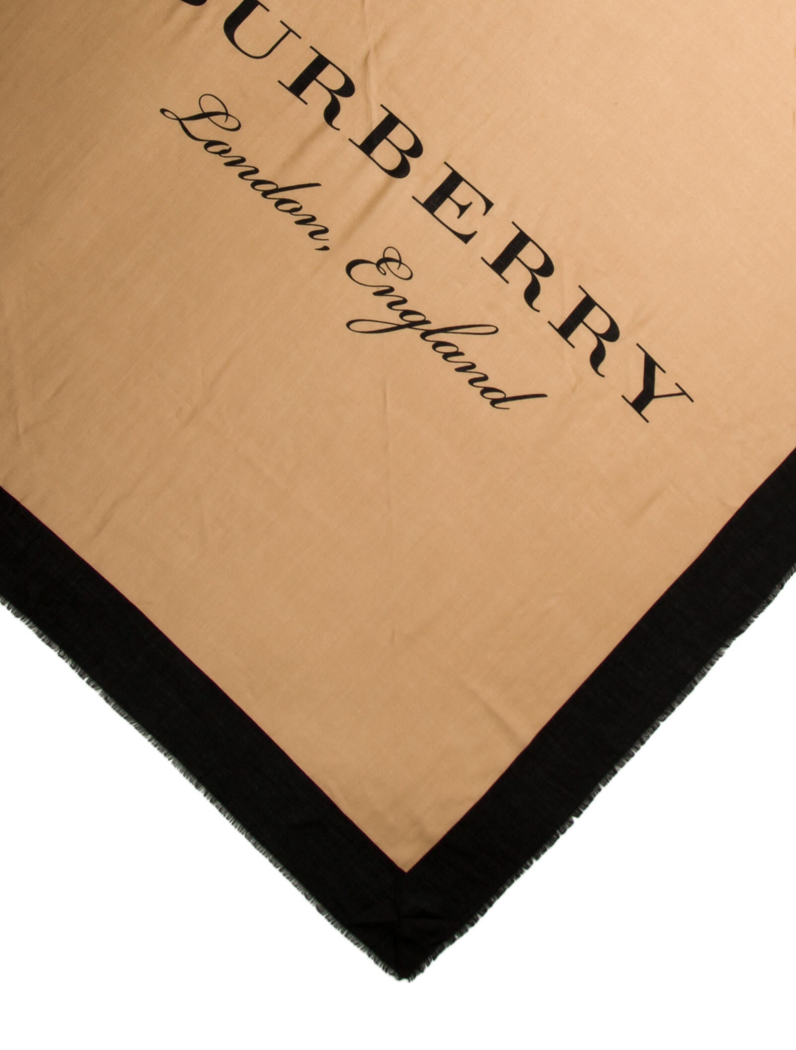 Burberry Cashmere Graphic Print Scarf