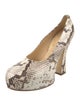 Burberry Embossed Leather Animal Print Pumps