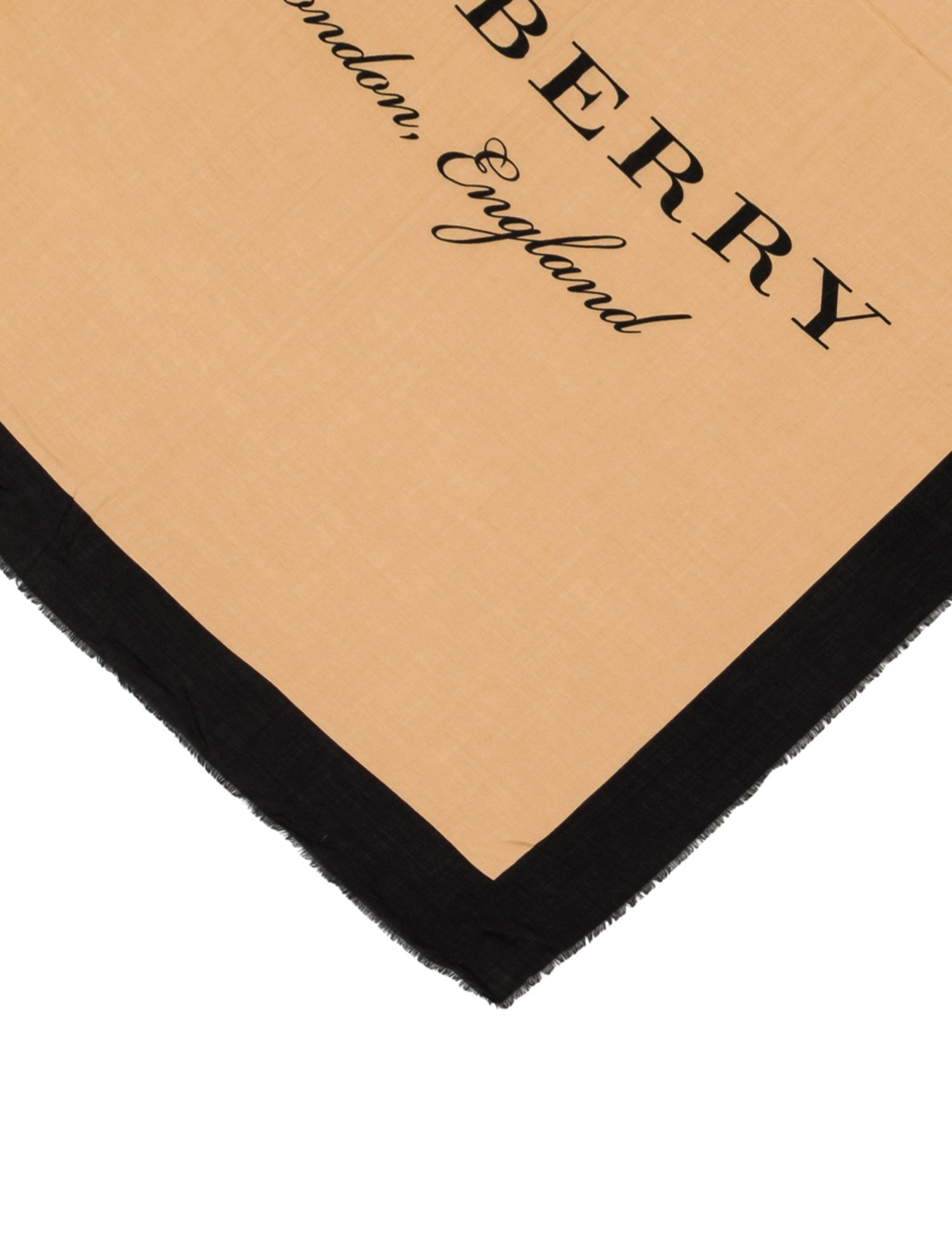 Burberry Cashmere Printed Scarf