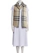 Burberry Wool Striped Scarf