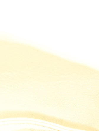 Burberry Leather Crossbody Bag