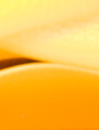 Burberry Leather Shoulder Bag