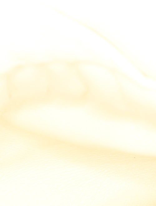 Burberry Leather Shoulder Bag