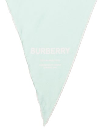 Burberry Silk Scarf