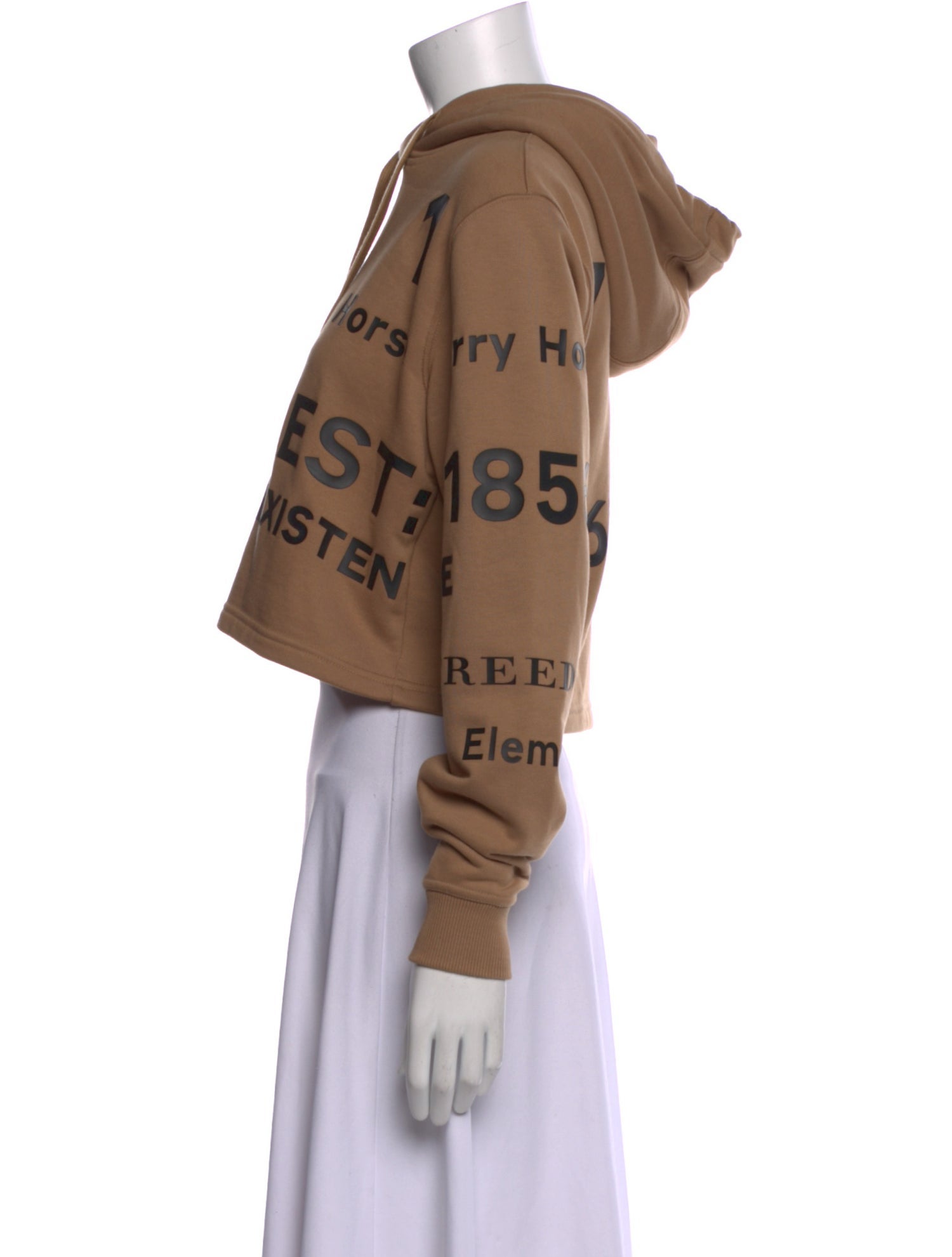 Burberry Graphic Print Crew Neck Hoodie