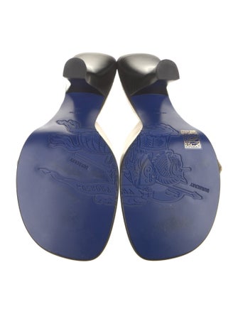 Burberry Leather Slides