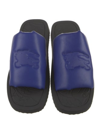 Burberry Suede Slides