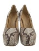 Burberry Leather Animal Print Pumps