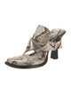 Burberry Snakeskin Animal Print Flip Flops