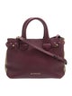 Burberry House Check Top Handle Bag