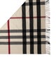 Burberry Cashmere Striped Scarf