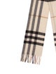 Burberry Cashmere Striped Scarf