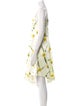 Burberry Floral Print Knee-Length Dress