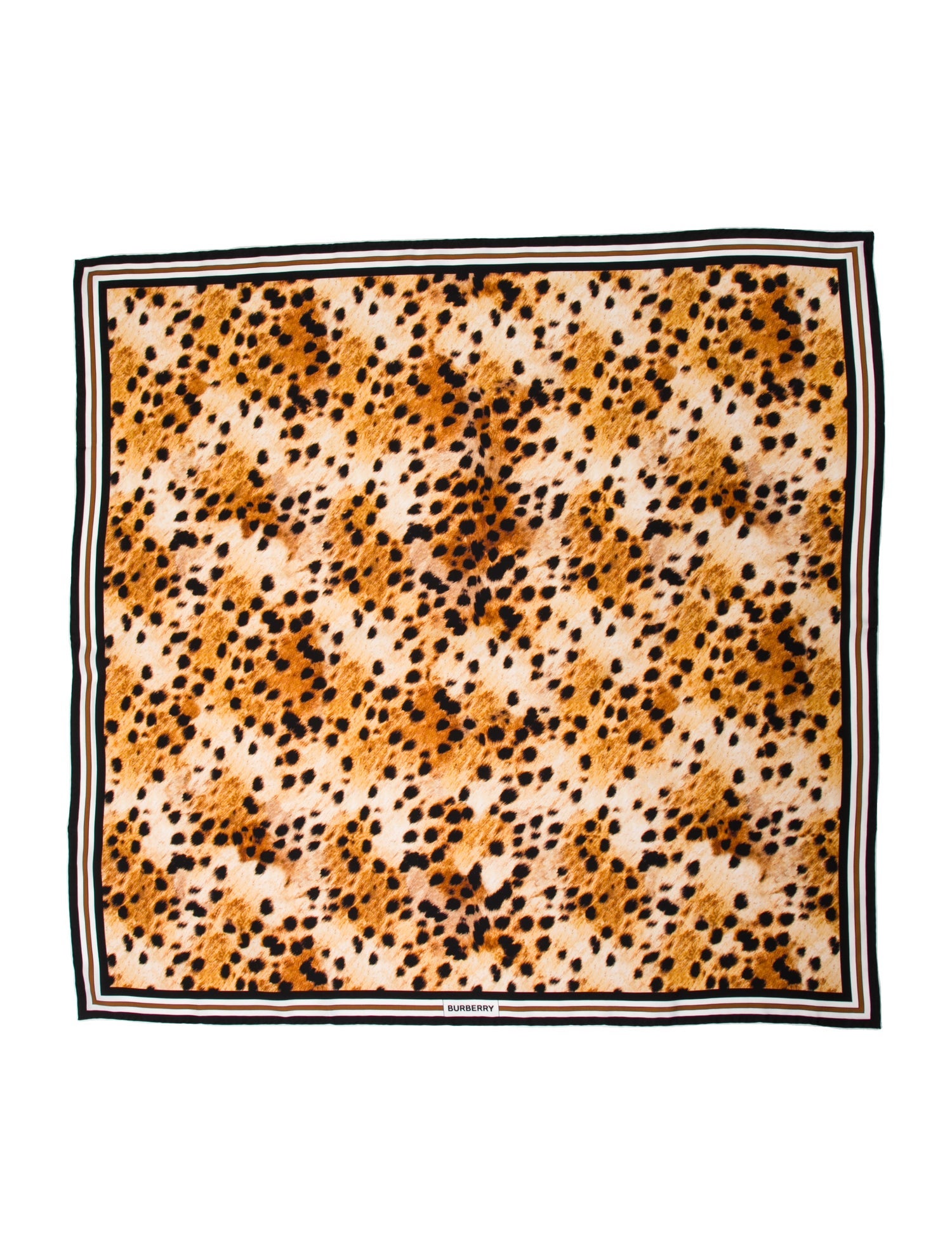 Burberry Silk Printed Scarf