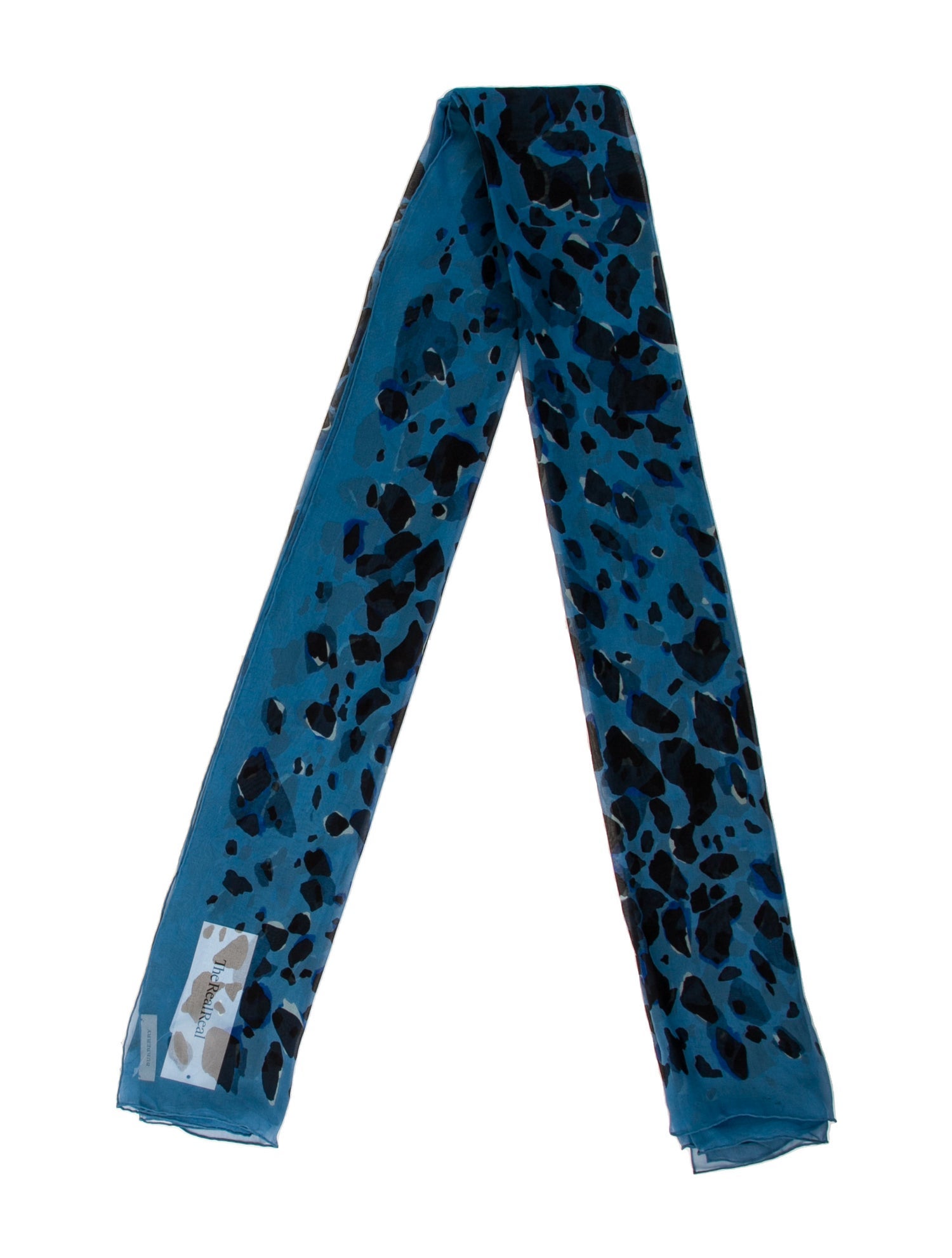 Burberry Late 2000's - Early 2010's Printed Scarf