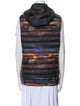 Burton AK Striped Down Jacket