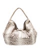 Byron New York Python Hobo