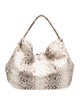 Byron New York Python Hobo