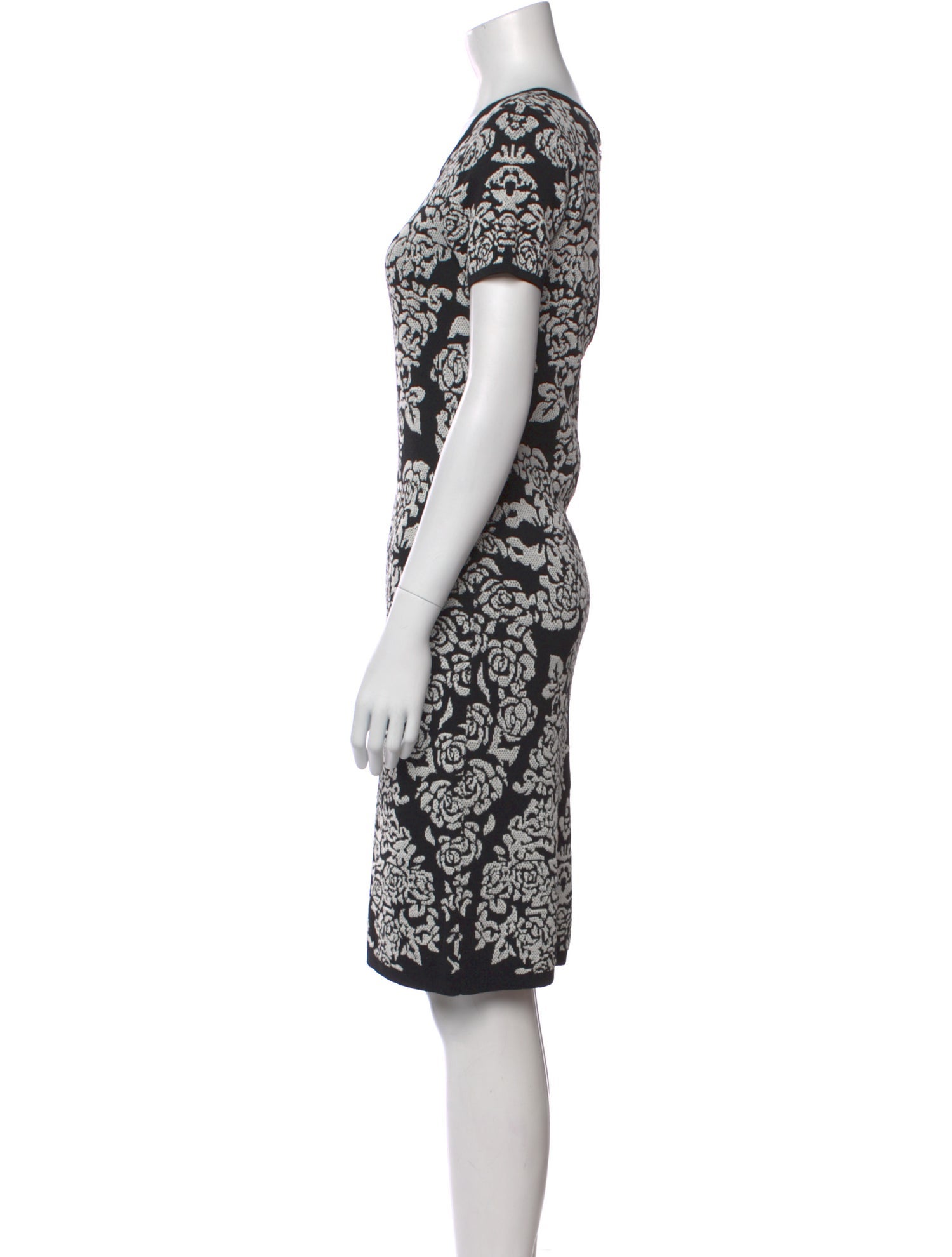 Carmen Marc Valvo Printed Knee-Length Dress
