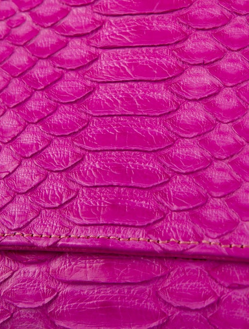 Carlos Falchi Python Clutch