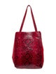 Carlos Falchi Snakeskin Bucket Bag