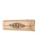 Carlos Falchi Snakeskin Clutch
